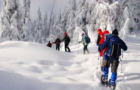 Family Day - Snowshoeing